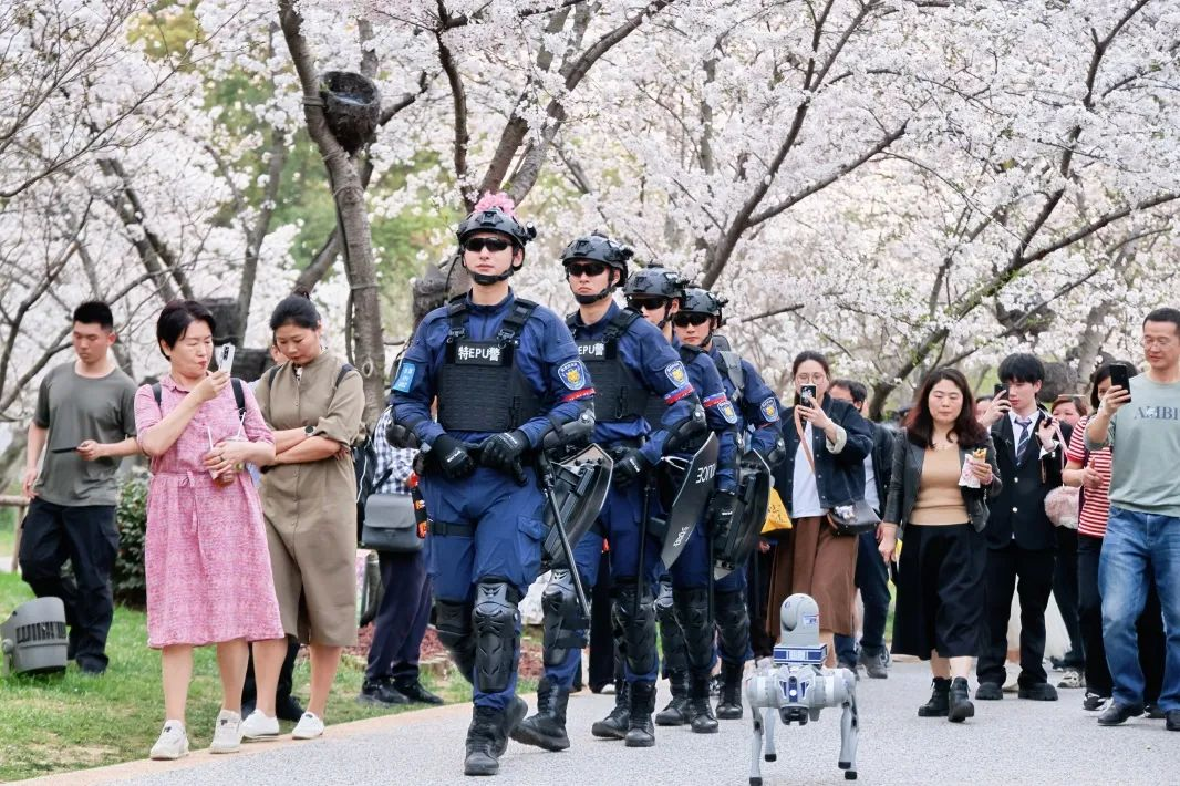 平安清明，“警”色相伴！